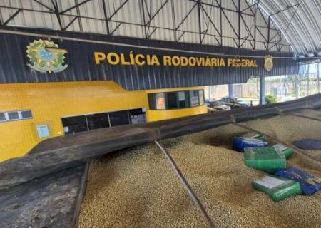 PRF apreende 3 toneladas de maconha enterrada em carga de soja que saiu de MS