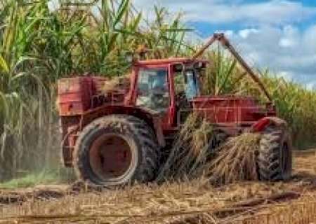 Brasil está a caminho de um aumento na produção de etanol em 2026