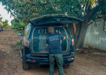 Polícia Civil prende suspeito de abusar sexualmente de três netas em Campo Grande