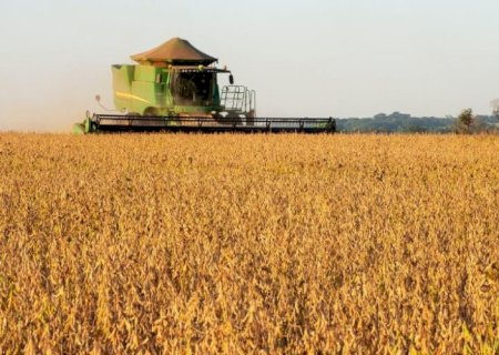 Colheita de soja Mato Grosso do Sul está lenta, plantio de milho atrasa no MS