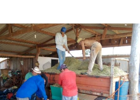 Zé Teixeira defende produtores rurais de Angélica e Laguna Carapã