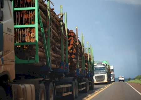 Rota da Celulose: concessão garante segurança viária e inovações a Mato Grosso do Sul