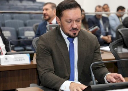 Alteração proposta em CTB objetiva cassar a CNH de quem abandona animais utilizando veículos em MS