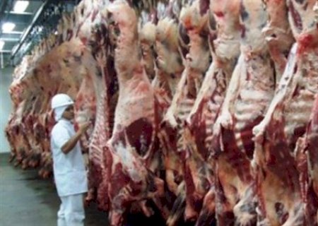 Exportações de carne bovina, soja, milho e ferro-gusa são destaque positivo na balança comercial de MS em janeiro
