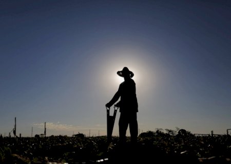 Fim da escala 6×1 pode gerar impacto bilionário no agro