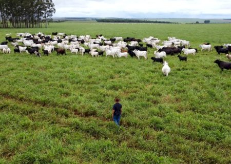 Com maior crescimento do país, agro de MS é fruto de incentivo, modernidade e sucesso do homem do campo