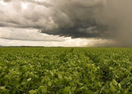 Brasil enfrenta extremos de chuva e seca na reta final da safra de soja