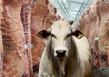 Guerra pode afetar de 30% a 40% da exportação de carne bovina, avalia Abiec