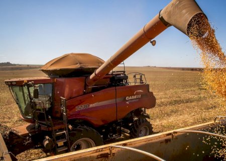 Colheita de soja 2025/26 atinge 50,6% da área no País, diz Conab