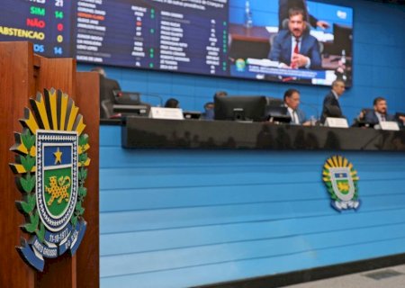 Ordem do Dia: Campanha que enfrenta sexualização precoce de crianças é aprovada e vai à redação final