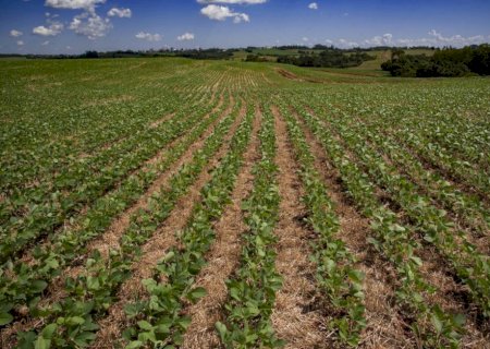CNA alerta para calendário de semeadura 26/27 e vazio sanitário da soja