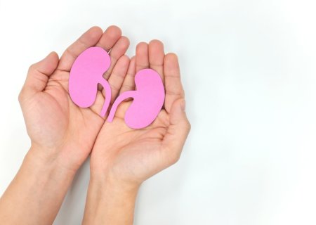 Os novos números que mostram como a população brasileira está altamente exposta a problemas nos rins