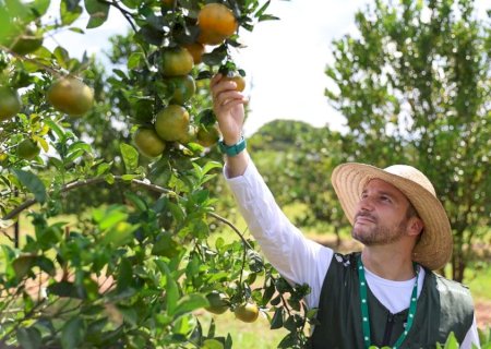 Curso técnico do Senar/MS transforma carreira e leva ex-engenheiro a viver do agro