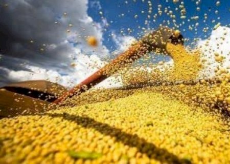 Com maior produtividade da soja, colheita de grãos deve alcançar novo recorde