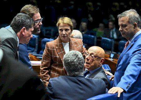 Tereza Cristina mantém porta aberta para vice, mas prioriza presidência do Senado