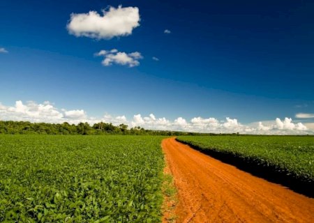 STF dá prazo e pressão aumenta: Moratória da Soja entra em fase decisiva no Brasil