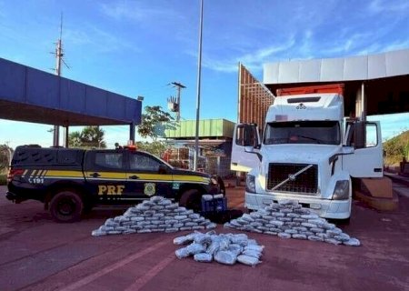 Motorista é preso com carregamento de skunk em transportadora no MS