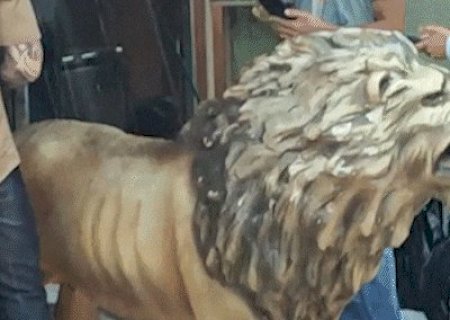 Homem que pagou R$ 200 por leão furtado ficará preso por tráfico e receptação