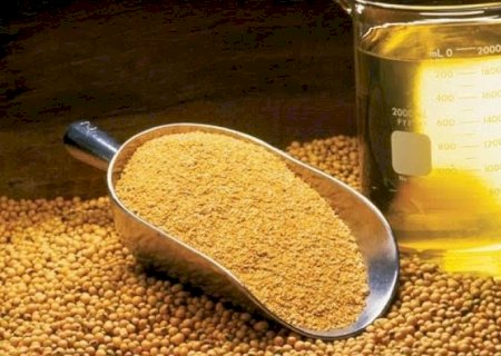 Processamento de soja no Brasil deve bater recorde em 2026