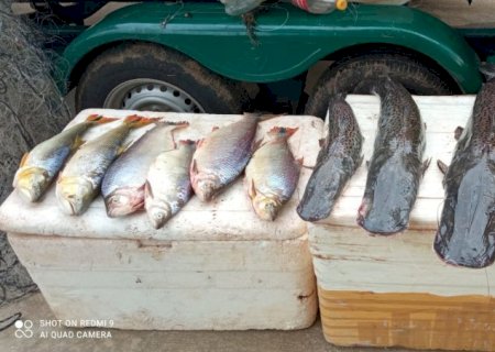 Polícia Militar Ambiental apreendeu 42 kg de pescado ilegal e redes no Rio Ivinhema