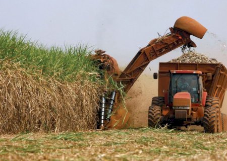 Cana por sementes ganha unidade de R$ 100 milhões e mira dobrar a produtividade até 2040