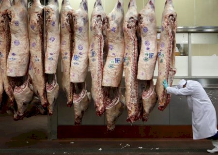 Exportações de carne bovina batem recorde histórico em março
