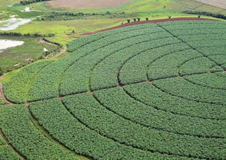 Indonésia negocia venda de fertilizantes para o Brasil e mais 3 países