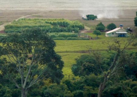 Conservação ambiental ganha espaço em proposta de incentivo fiscal no agro