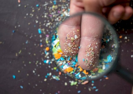 Pequenas mudanças na cozinha podem reduzir acúmulo de plástico no corpo, aponta estudo