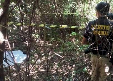 Corpo é encontrado em área de mata e suspeita é de ataque de javali