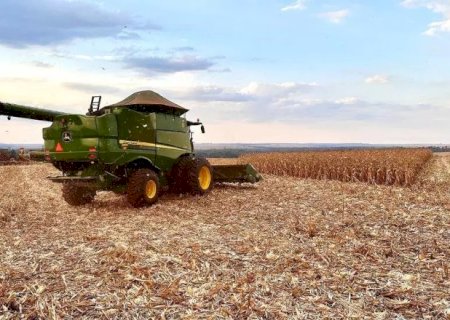 Com seca no sul, só 41% das lavouras são consideradas boas e venda cai