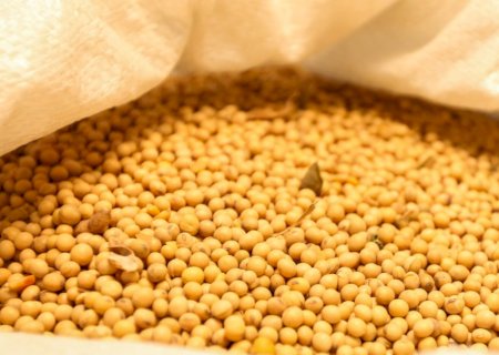 Mapa define regras para credenciamento de empresas em monitoramento de grãos