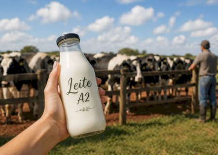 Laticínios apostam em leite que ‘facilita’ digestão e leite A2 redesenha o mercado no Brasil