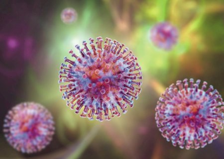 Hantavírus: temor de uma nova covid-19 tem fundamento? O que a ciência diz sobre chances de uma nova pandemia