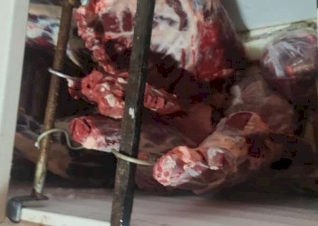 Força-tarefa apreende mais de 660 kg de carne estragada em açougue