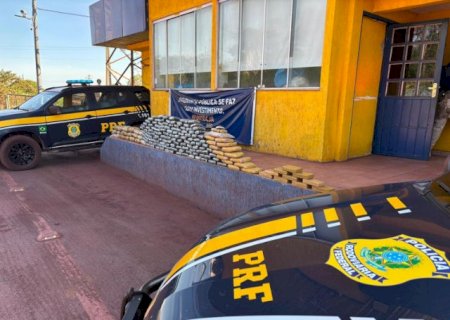 Carga de minério escondia 149 kg de drogas e motorista é preso