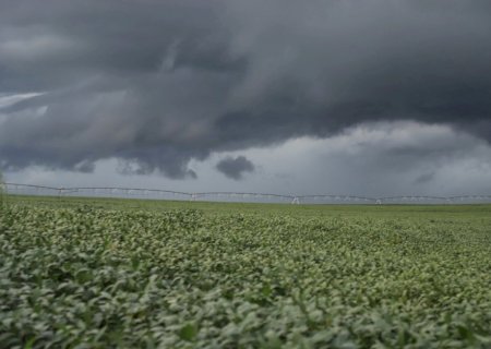 Zarc reduz perdas em até 70% nas lavouras no Brasil