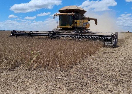 Safra de soja 2025/2026: produtividade média estadual fecha em 60,40 sacas por hectare