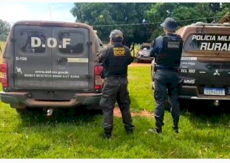 Polícia Militar Rural e DOF recuperam 34 cabeças de gado, furtadas de fazenda do cantor Almir Sater