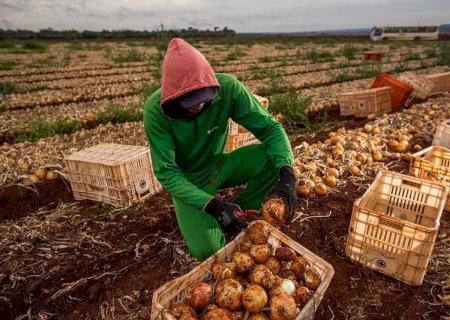 Em 2025, agronegócio emprega mais de 26% da população ocupada no País
