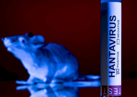 Hantavírus e coronavírus: entenda a diferença e por que nova pandemia é descartada