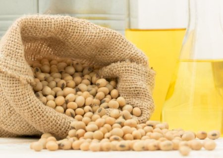 Safra recorde impulsiona cadeia da soja e biodiesel, que cresce quase 12% em 2025