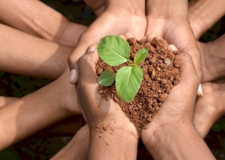 Semana do Meio Ambiente mobiliza escolas e instituições em Ivinhema com ações educativas e premiações