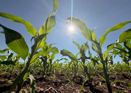 Crédito rural recua 39,5% em abril