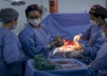 Brasil bate recorde de doadores de órgãos, mas recusa familiar ainda entrava transplantes