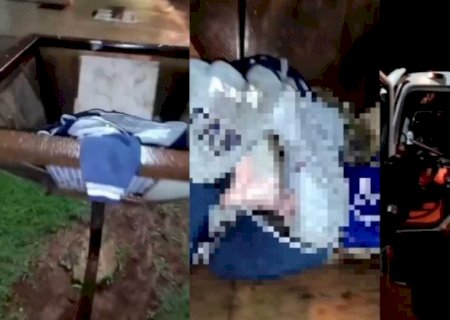 Justiça autoriza sepultamento de bebê encontrado morto em lixeira em Ponta Porã