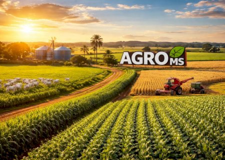 Produção recorde, lavouras fortalecidas e crédito mais seletivo marcam safra em MS