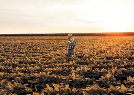 Produtores com perdas desde 2019 poderão renegociar dívidas