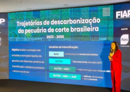Como a mudança no consumo da China afeta o preço do boi em MS