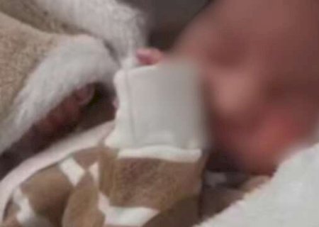 Bebê tem protocolo de morte encefálica aberto e avós são acusados de negligência